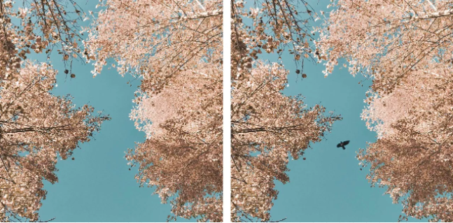 关于“时机”的对比.png 关于“时机”的对比.png